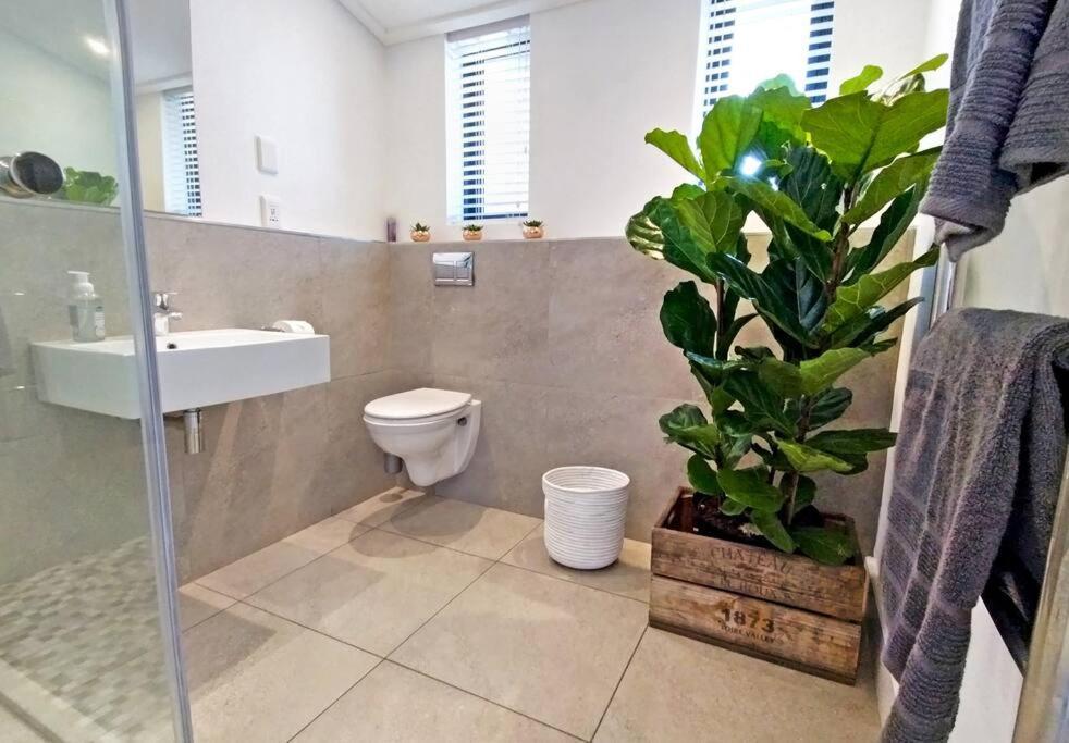 Central Modern Studio Apartment, Hermanus Waterfront Esterno foto